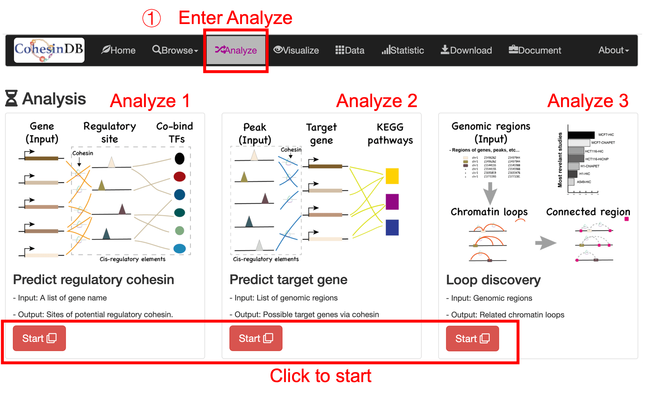 Usage_analyze_all_page