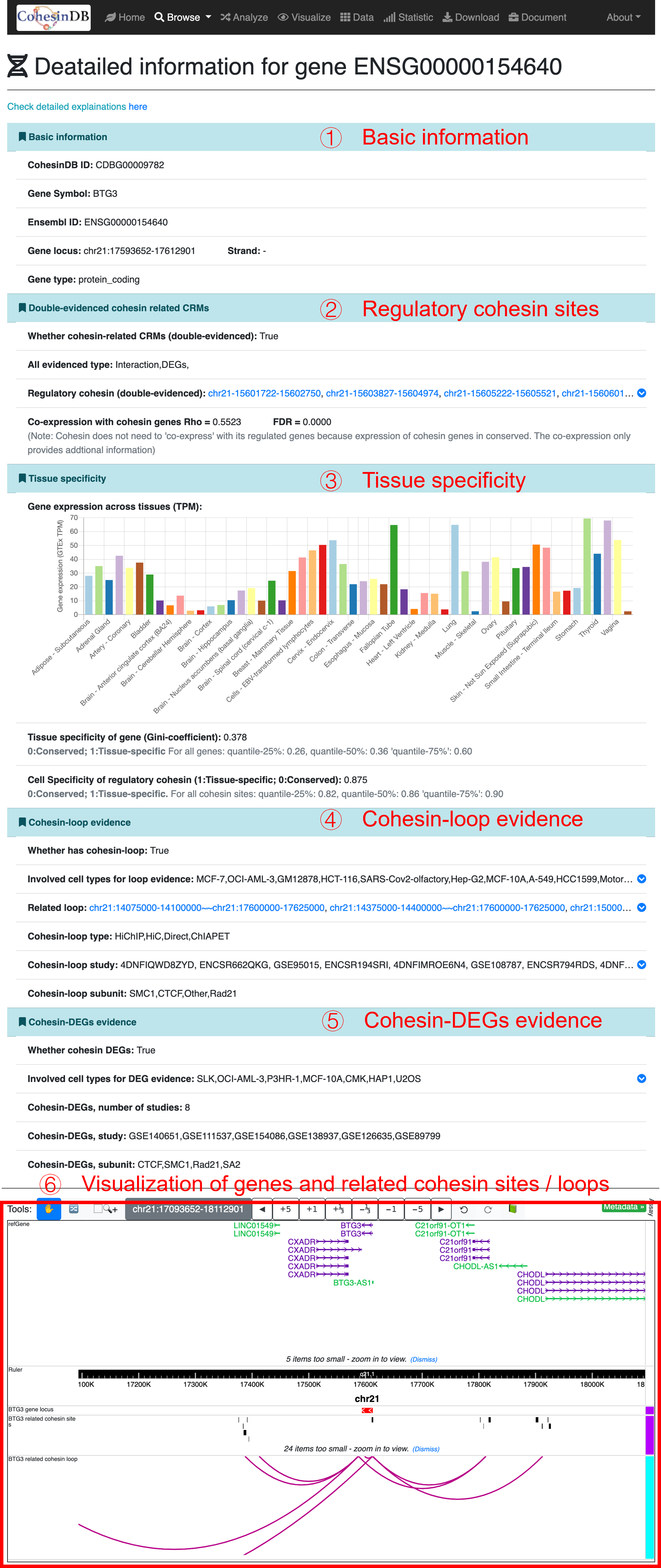 Usage_each_gene