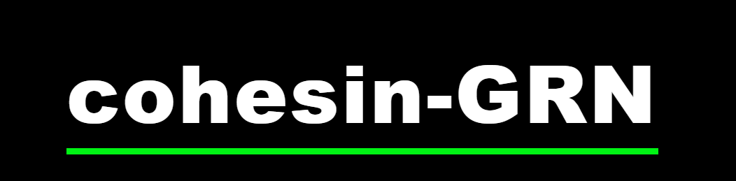 Cohesin-GRN